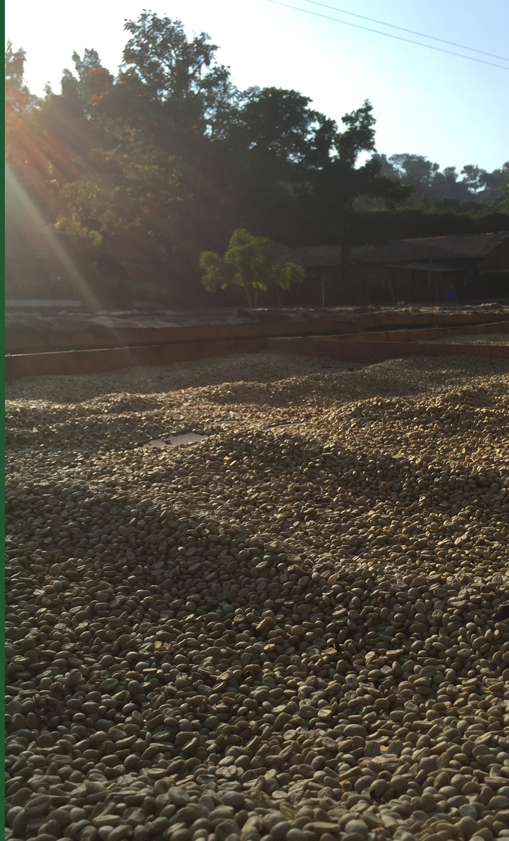 Weihnachtskaffee (El Salvador)