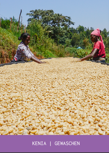 Kenia Limited Edition