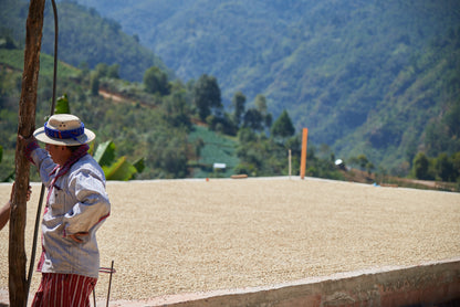 Weihnachtskaffee (Guatemala)