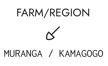 Kenia Limited Edition