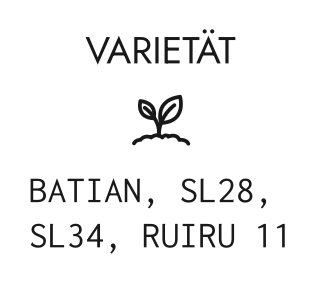 Kenia Limited Edition