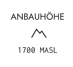 Kenia Limited Edition